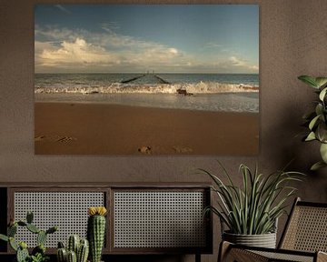 strand Zeeland bij Oostkapelle van anne droogsma