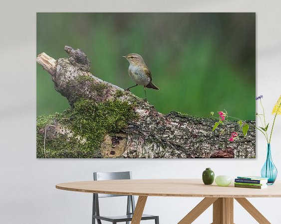 Aperçu de la chambre