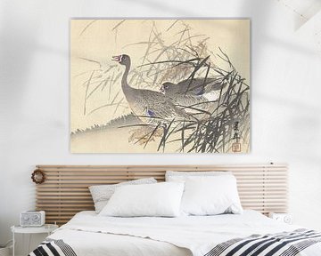 Imao Keinen - Two geese between reeds (1892-1911) by Peter Balan