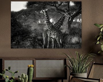 Girafes en Tanzanie noir et blanc sur Jovas Fotografie