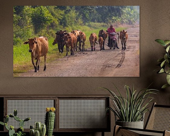 Voorbeeld van het werk in een kamer