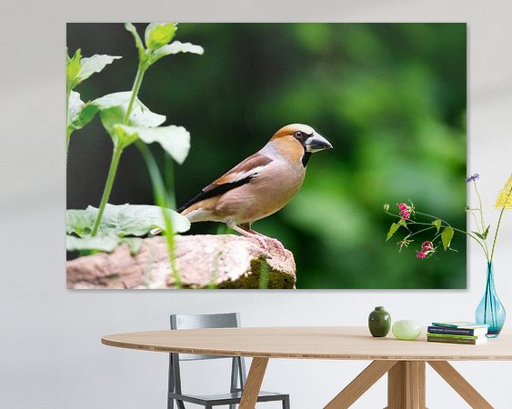 Aperçu de la chambre