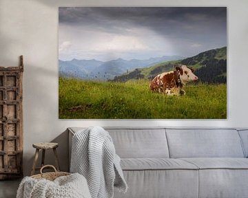 Cow at the Austrian Alps by Philippos Kloukas