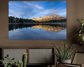 Reflection in the mountains by Teresa Bauer