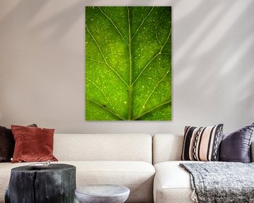 Surreal macroshot green leaf by Vectorific Design