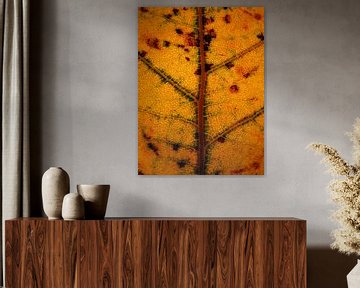 orange stained glass leaf by Vectorific Design