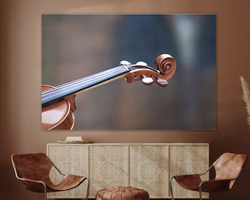 viool 1 / detail van de hals liggend