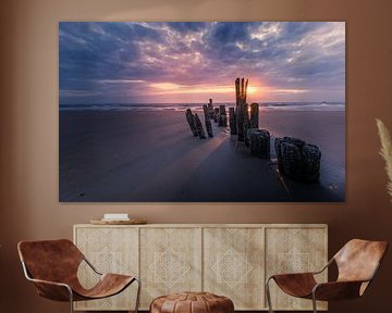 The sun at De Kerf in Bergen aan zee