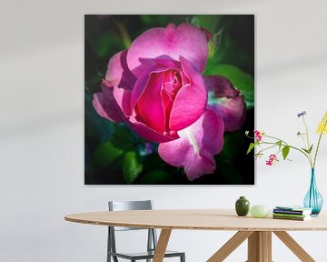 Bloem wilde roos van Dieter Walther