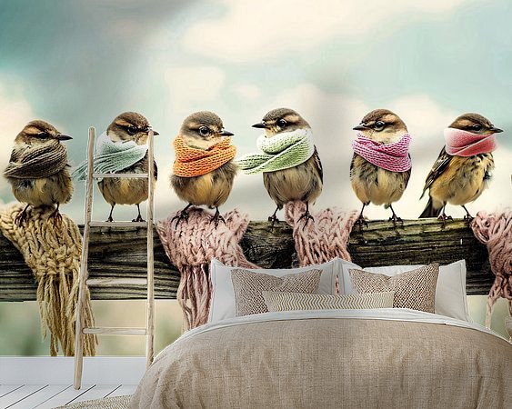 Aperçu de la chambre