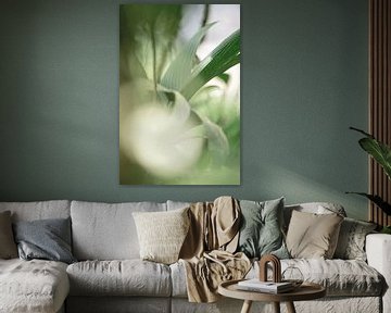 Blad Lichtgevangen in een Poëtische Groenwaas van Femke Ketelaar