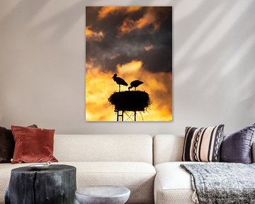 Ooievaar silhouetten van Willemijn Wolthaus