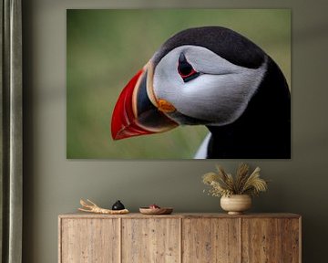 Portrait de macareux comme décoration murale - oiseau de mer coloré sur fond vert sur Leon Brouwer