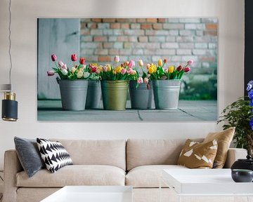 Tulpen in Eimern...