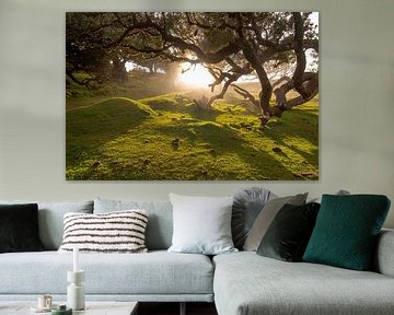 Lever de soleil mystique dans la forêt de Fanal sur Kevin Essers