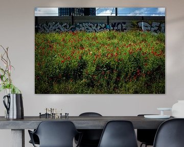 Urban Klaprozen Amsterdam van Roos Stok