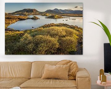 Avondlicht bij Lochan na h-Achlaise, Rannoch Moor