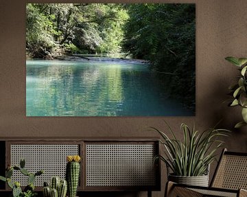 Een rustige rivier tussen de bomen op een zonnige dag van Elena Creative