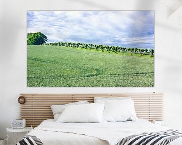 Landschap in Mecklenburg