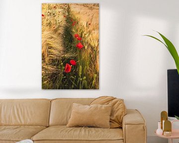Schöne Mohnblumen auf dem Feld. von Robby's fotografie