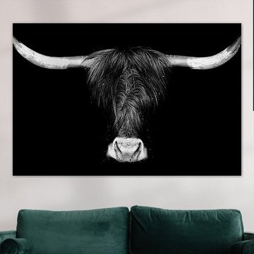 Schotse Hooglandrunderen