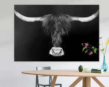 Schotse Hooglandrunderen van Ken Kühlbrandt