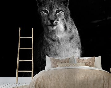 The lynx by Ken Kühlbrandt