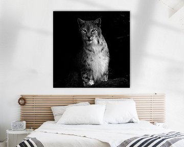 The lynx by Ken Kühlbrandt