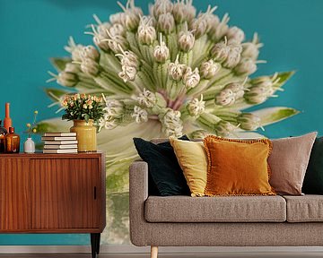 Simple still life in square with petrol: Reflection of a Zeeland button by Marjolijn van den Berg