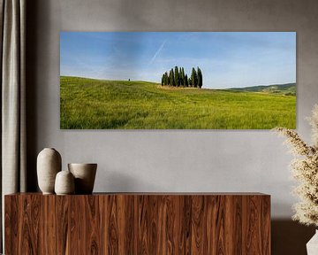 Cyprès en Toscane sur Bart Ceuppens