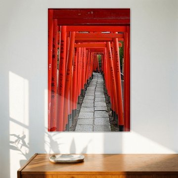 Pfad der Hingabe - Zinnoberrote Torii-Tore am Nezu-Schrein Tokio