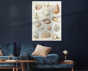 Shell collection by Franka Poulain