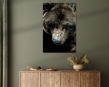 L'âme de l'ours sur Nicole Schmidt