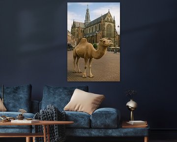 Kameel op Grote Markt in Haarlem van Peter Pijlman