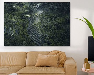Rijstterrassen – Luchtfoto van Bali's Groene Landschap van Dylan Shu Photography
