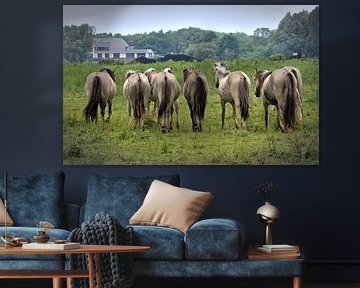Konikpaarden