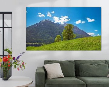 Alpine landscape by Bo Valentino