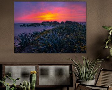 Zonsondergang Conil de la Frontera van Willemijn Wolthaus