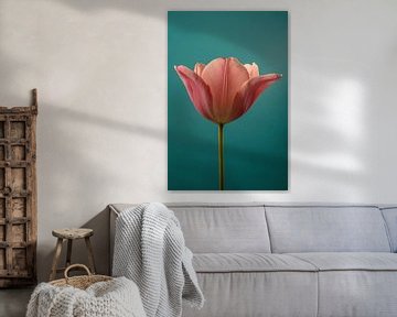Goedemorgen! Een Tulp slaat zijn blaadjes open van Marjolijn van den Berg