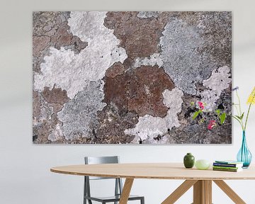 Flechtenlandschaft