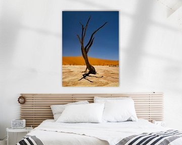 Deadvlei Namibie sur Willemijn Wolthaus