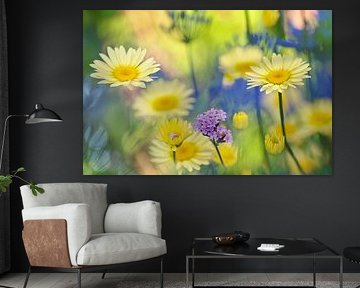 Een tuin vol met kleur