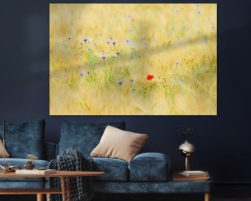 Summer field van John Goossens Photography