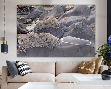 Bucht von Sandymouth 11