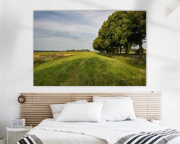 De Moerputten bomen van Hans Janssen