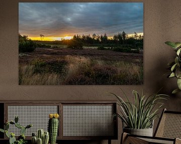 Sun and dark clouds over Lemelerheide by SchumacherFotografie
