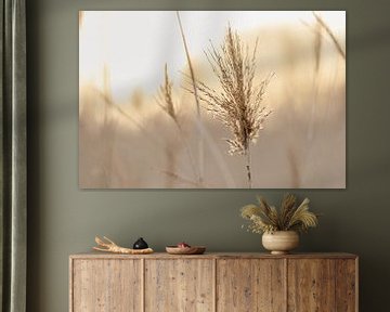 Een pluim! van SchumacherFotografie