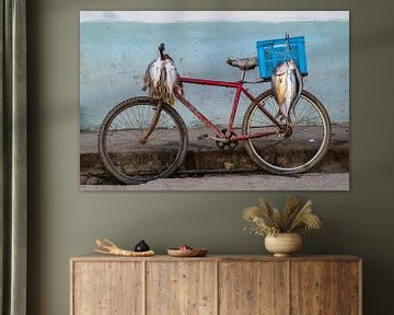 Vis op de fiets. van Joes van Asten