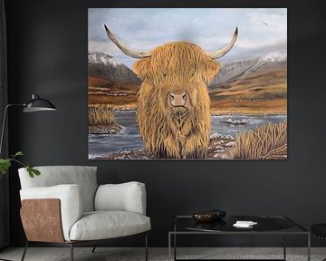 Highland Cattle