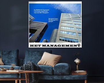Het Management - De Perfectie Organisatie